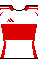 Kit body standard2425t.png