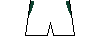 Kit shorts celtic2425h.png