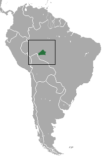 distribución del tití de Rondon