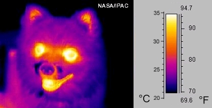 Imagen tomada con radiación infrarroja media («térmica») y coloreada