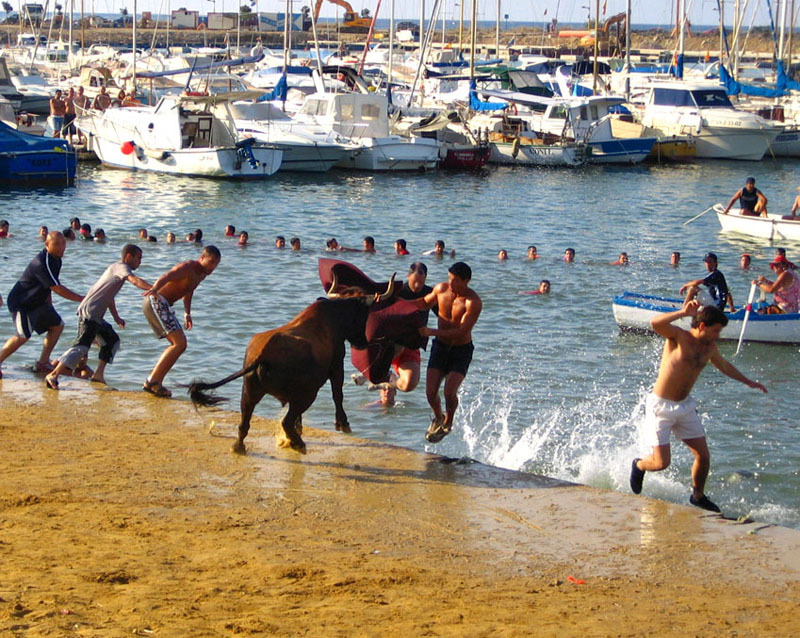 Bous a la mar (dénia).jpg
