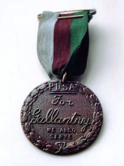 Archivo:Dickin Medal