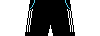 Kit shorts newcastle2526h.png
