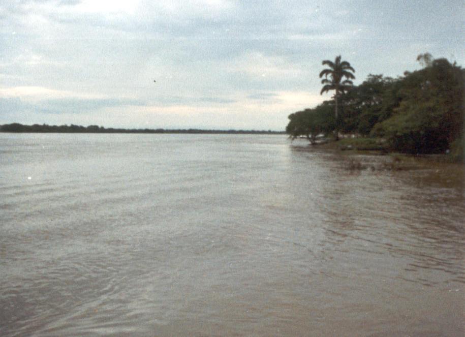 Río Apure 2.jpg