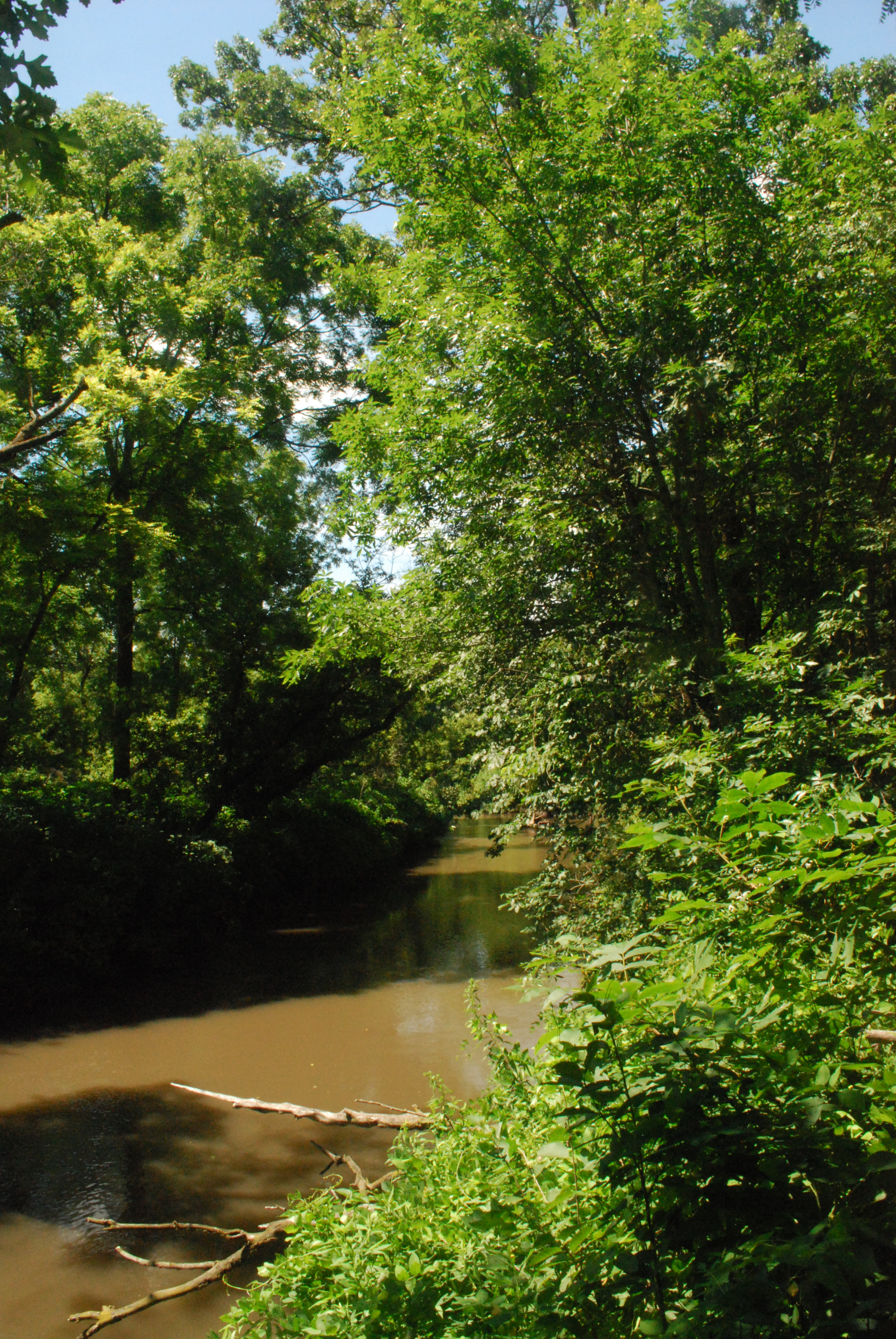 Pecatonica River Iowa County Wisconsin.jpg