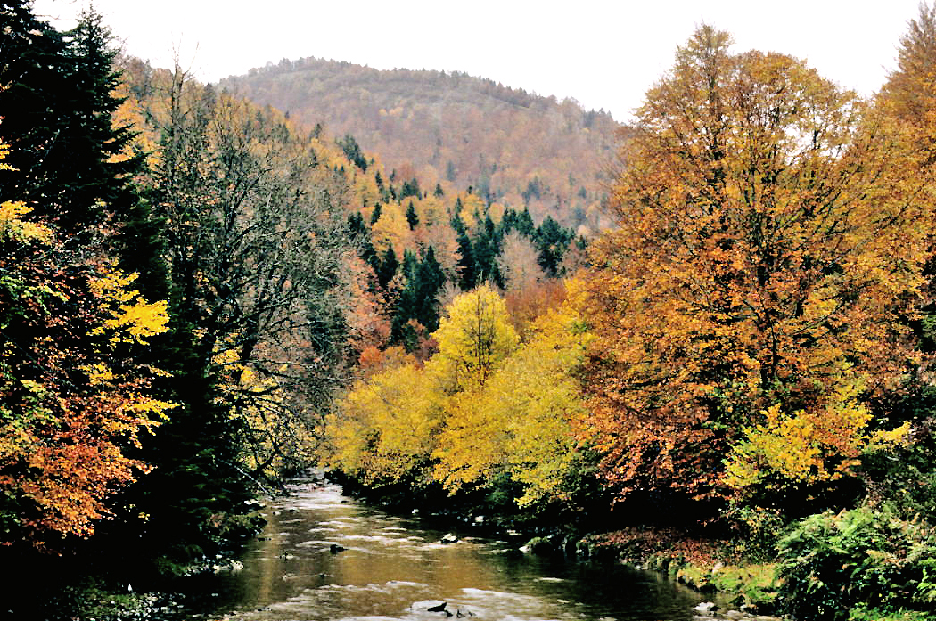 Irati, otoño 1990 02.jpg