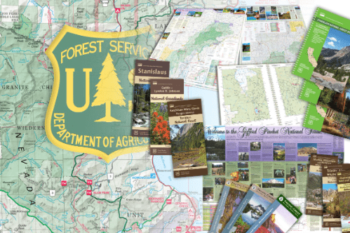 ForestServiceBackground.PNG