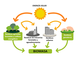 Archivo:Biomasa
