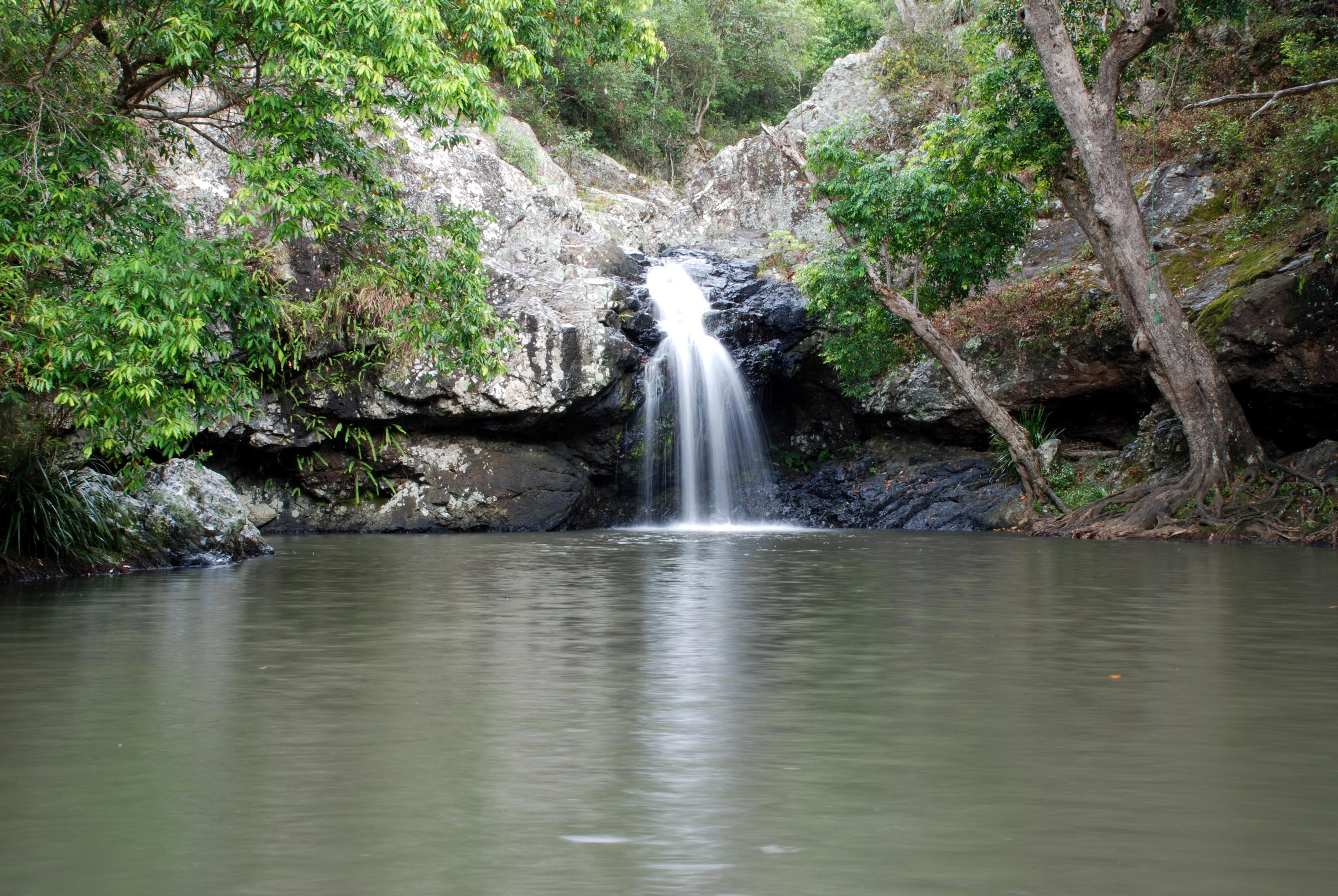 Sunshine Coast, Queensland - Kondalilla falls.jpg
