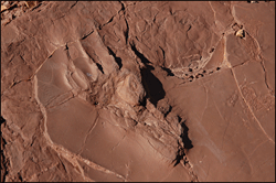 Archivo:Prehistoric-trackways-01