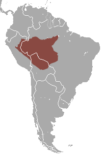 Distribución del Ateles chamek