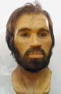 Archivo:Lindow Man reconstructed face