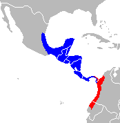 Distribución de Ateles geoffroyi (azul) y A. fusciceps (rojo)