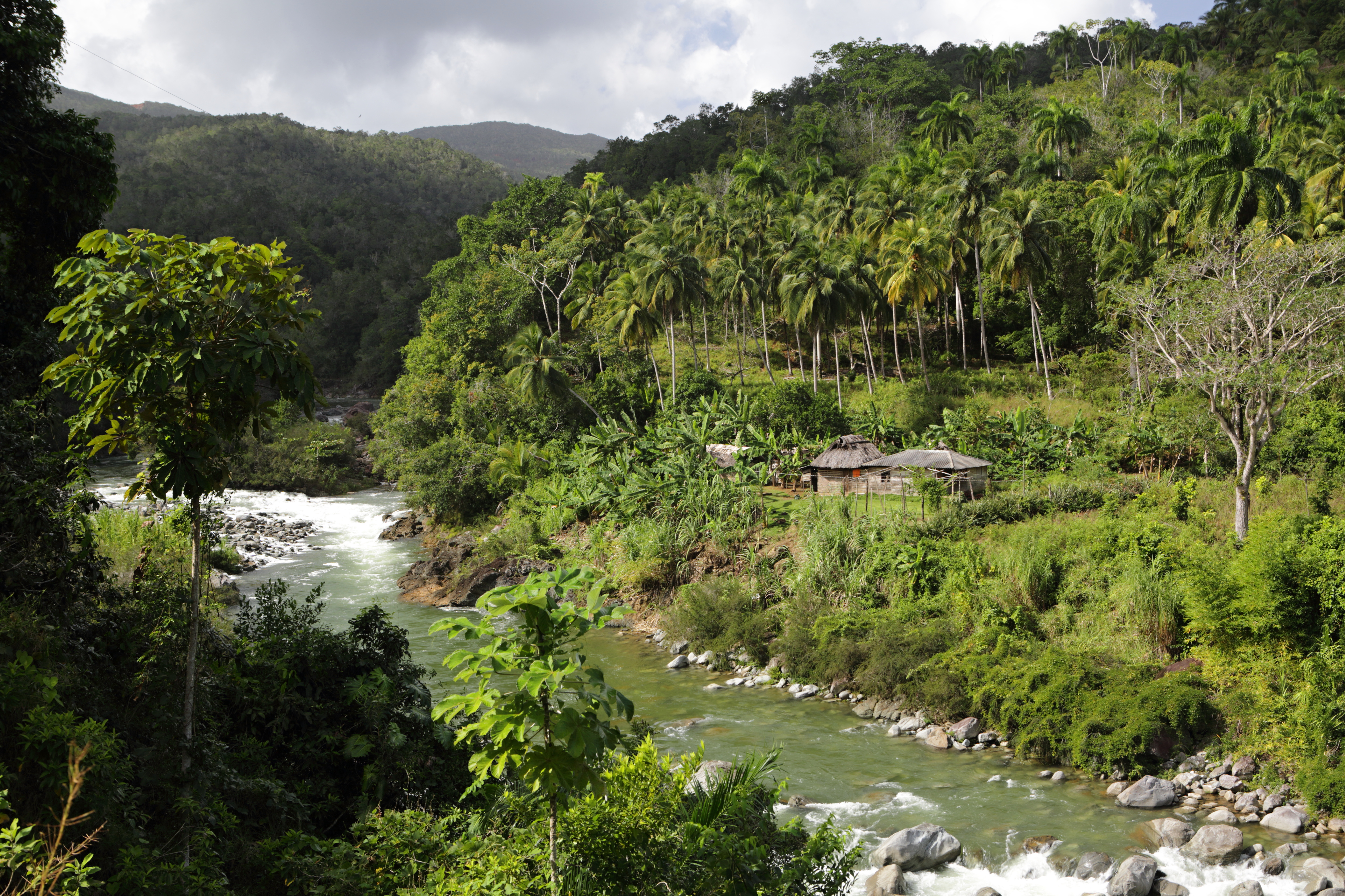 Duaba river, Baracoa - panoramio.jpg