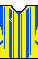 Kit body shakhtar2425t.png