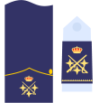 Captain general of the Air Force 3a