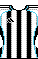 Kit body newcastle2526h.png