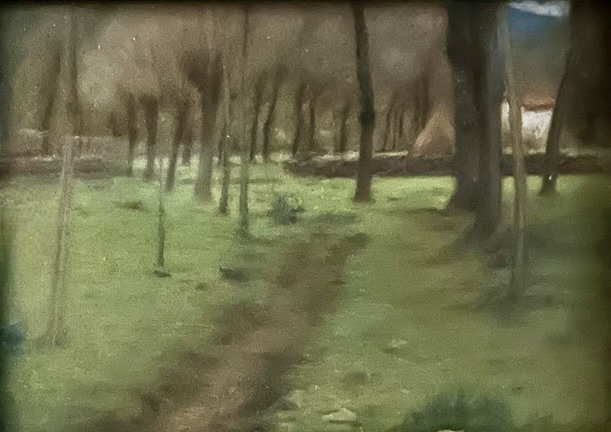 Paisaje José Pinós 2