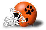 Helmet santurce coyotes.png