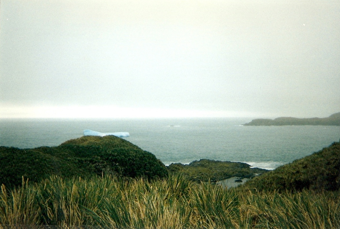 Hercules Bay in South Georgia Island.jpg