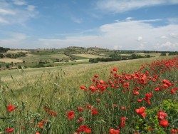 Archivo:Ametlla de Segarra