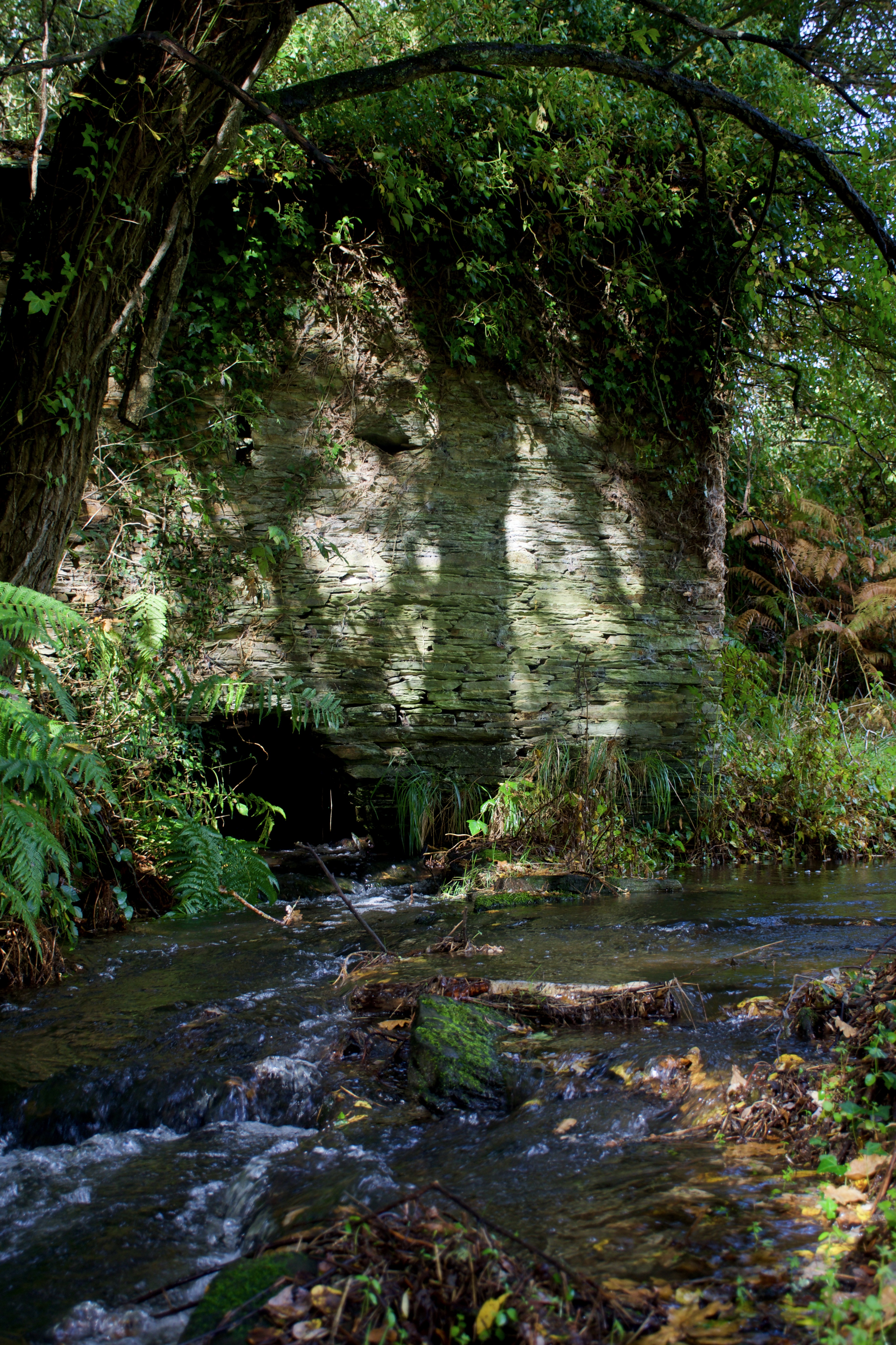 Regato do Cepelo.jpg