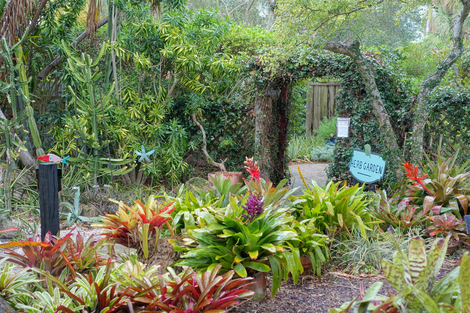 Heathcote Botanical Gardens - Fort Pierce, Florida - DSC03280.jpg