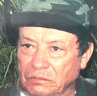 Archivo:Dinotirofijo