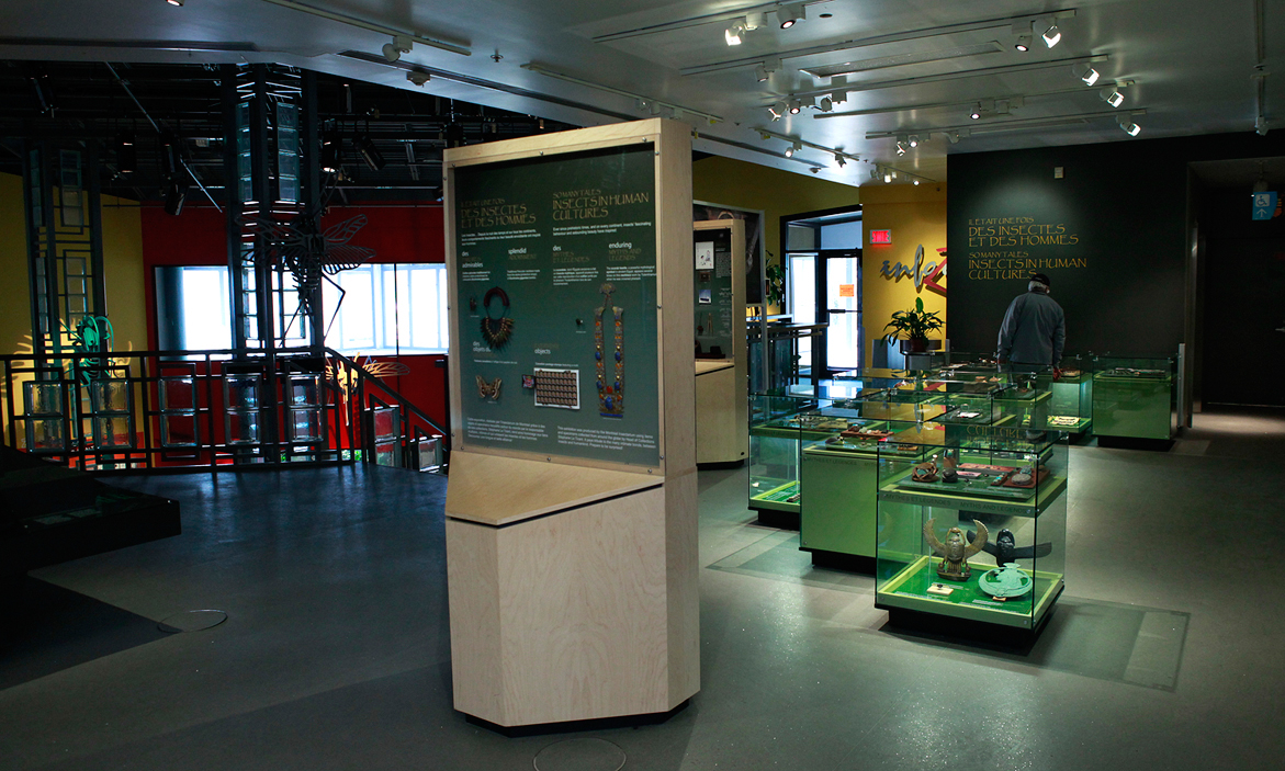 Insectarium Montreal1.jpg