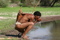 Archivo:Bushmen drinkingwater pan