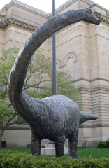 Archivo:Diplodocus carnegii statuePittsburgh