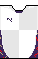 Kit body Kyoto Sanga F.C. 2025 AWAY FP.png