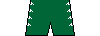 Kit shorts guarani24a.png
