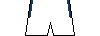 Kit shorts puebla2324a.png