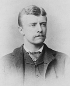 Archivo:TR NY State Assemblyman 1883 crop