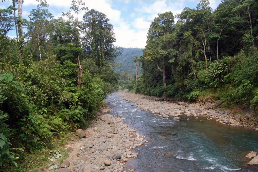 Río Yorkín in Sixaola.jpg