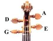 Archivo:Violin peg strings