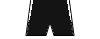 Kit shorts TKN25a.png