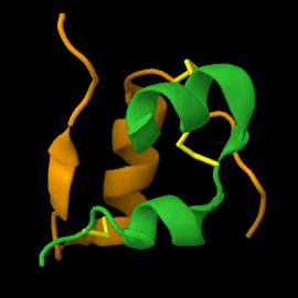 Archivo:Insulin chain A and B linked by disulfide bridges