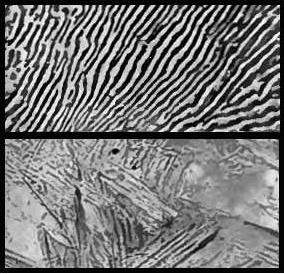 Archivo:Photomicrograph of annealed and quenched steel, from 1911 Britannica plates 11 and 14