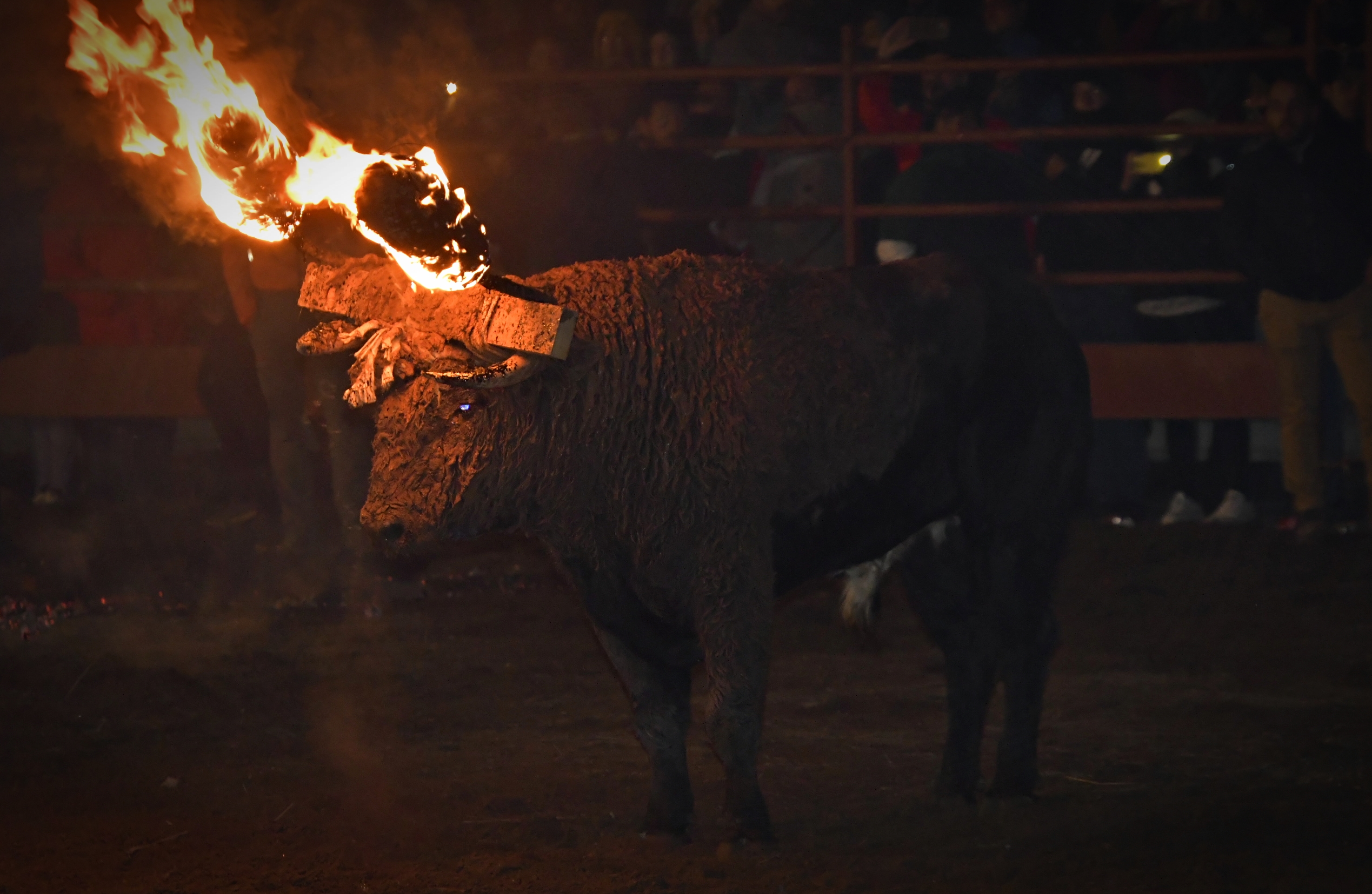Toro de Jubilo con las bolas encendidas.jpg