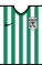 Kit body AtlNacional2021h.png