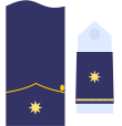 Captain general of the Air Force 8a