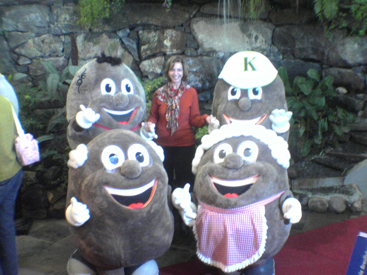 Fenakiwi Mascotes.JPG