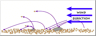 Archivo:Saltation on sand dune