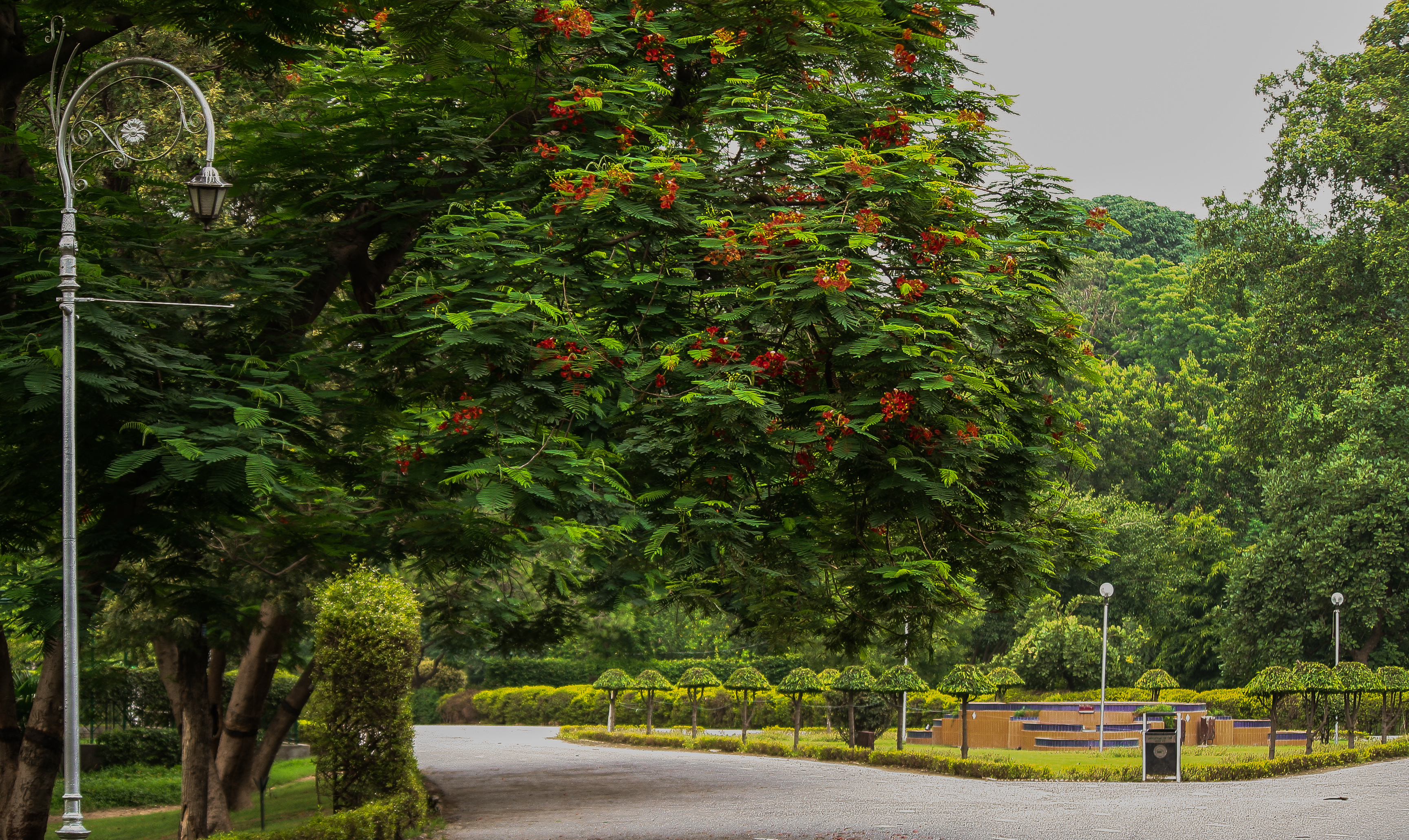 Bagh-e-Jinnah Lahore Pakistan.jpg