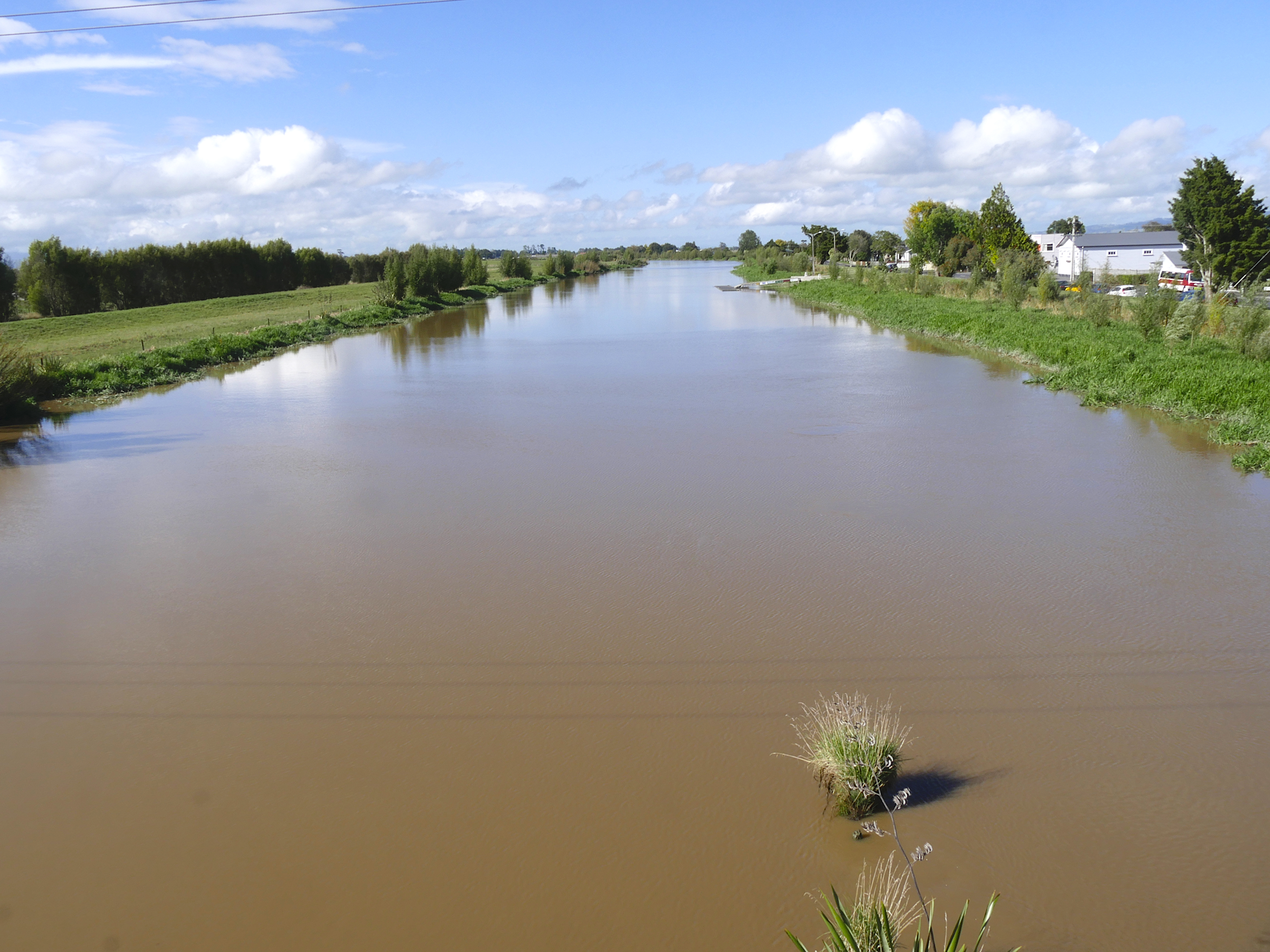 Piako River, from Bridge at Ngatea 2.jpg