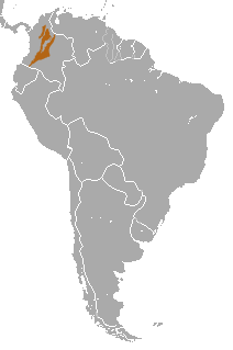 Distribución del mono lanudo colombiano