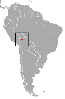 Distribución del tití del río Beni