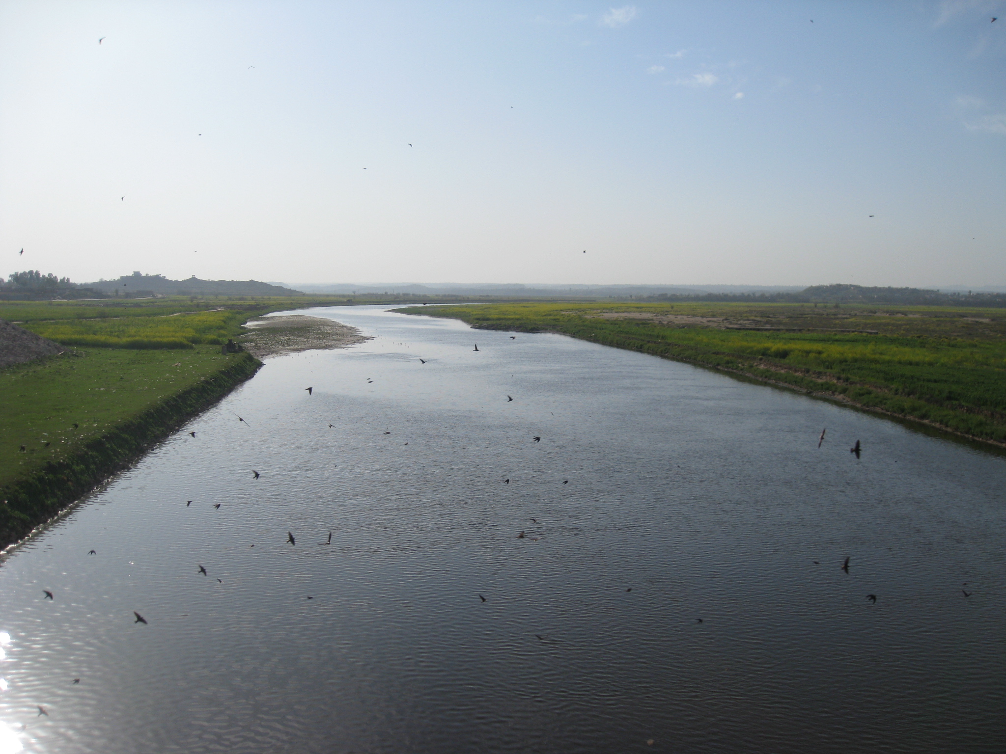 Soan River near Chakri.jpg